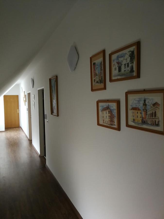 Levanda Panzio Kópháza Zewnętrze zdjęcie