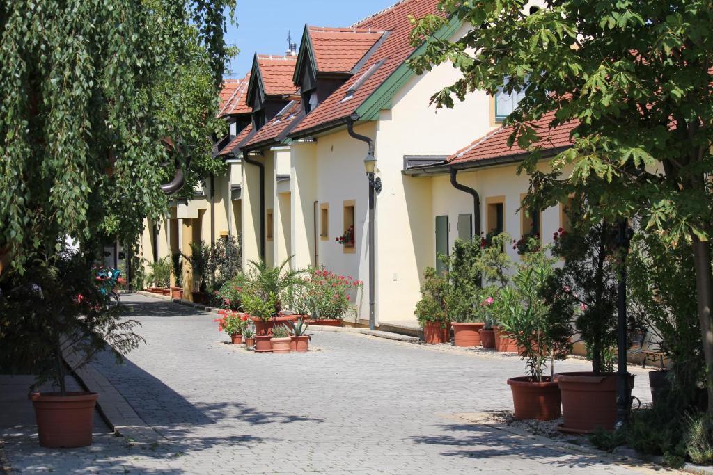 Levanda Panzio Kópháza Zewnętrze zdjęcie