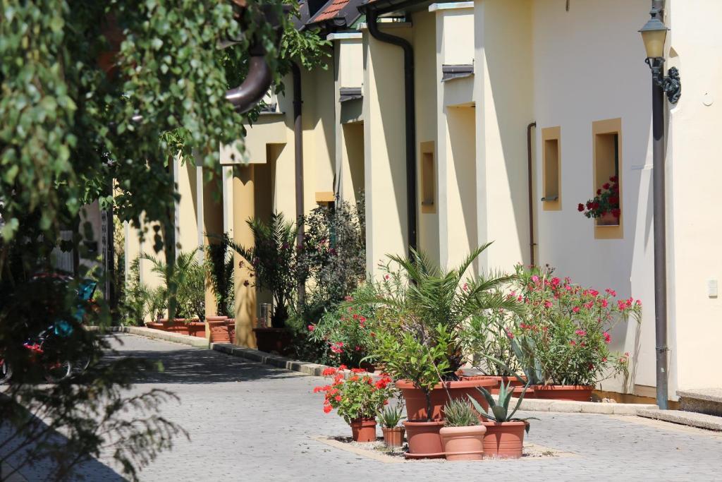 Levanda Panzio Kópháza Zewnętrze zdjęcie